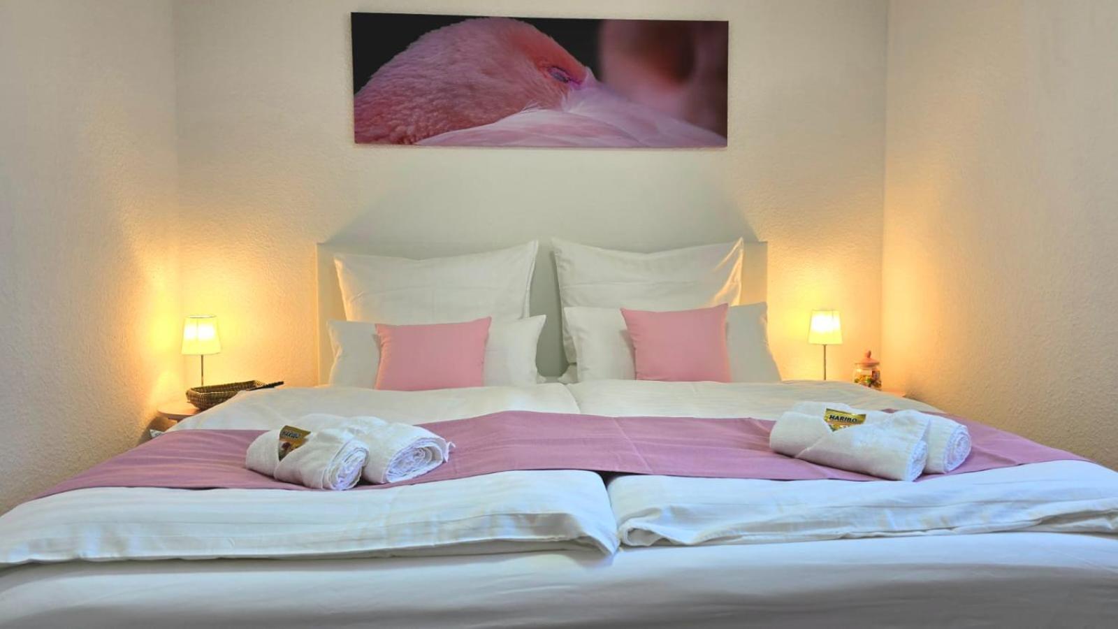 Happy Homes Pink - Up To 5 - Kueche - W-Lan - Netflix - Honig - Badewanne Nidda Dış mekan fotoğraf